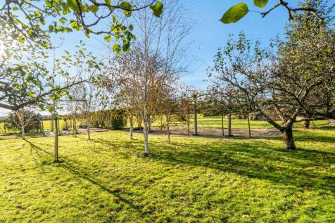 Garden / Building Potential