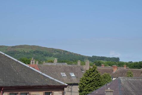 MFL5257187_384.jpg