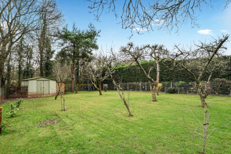 Orchard
