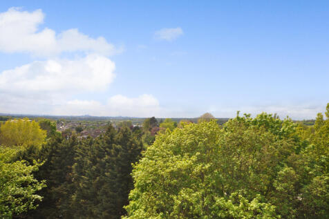 DSC0042dp_dp_11767060