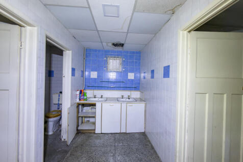 IMG 6443 2 T202510231701.jpg