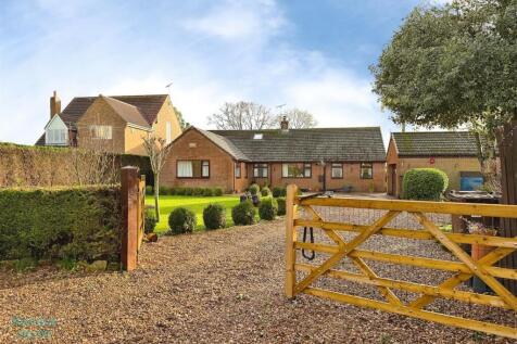 temp_file_1771617555430.jpeg