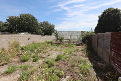 1st half of the garden