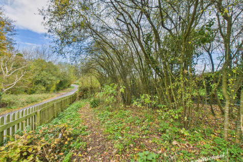 CAM03218G0-PR0822-STILL012