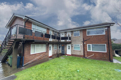 IMG 1489 T202601281435.jpg