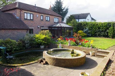 New garden 1