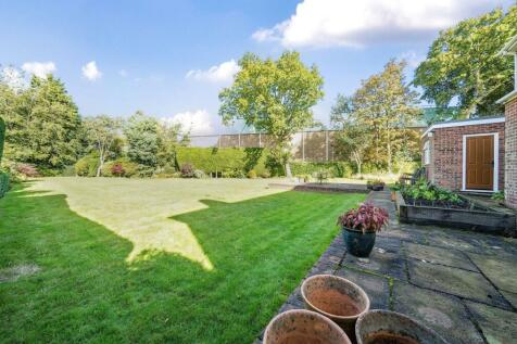 67054623ef75e-l-1195798 (25).jpg