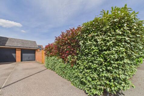 Drive and Garage
