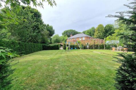 REAR SHOT DISTANT.jpg