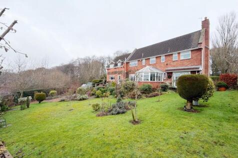 Property Image 61