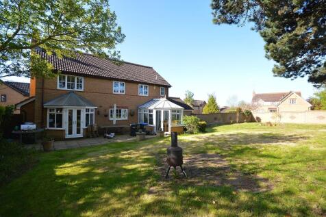 Property Image 34