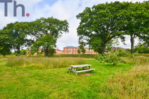Meadow Area