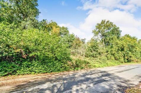 Photo-2025-10-05-12-12-56 2 T202510051931 T202601181611 T202602201637.jpg