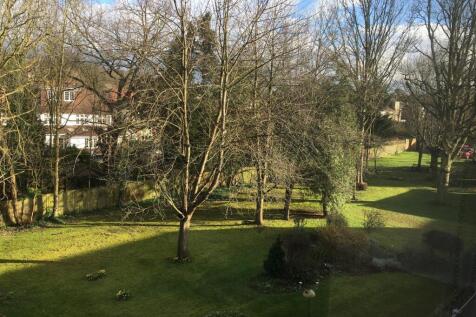 garden3.JPG