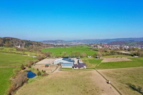 PHOTO-2025-04-12-18-39-52 (3).jpg