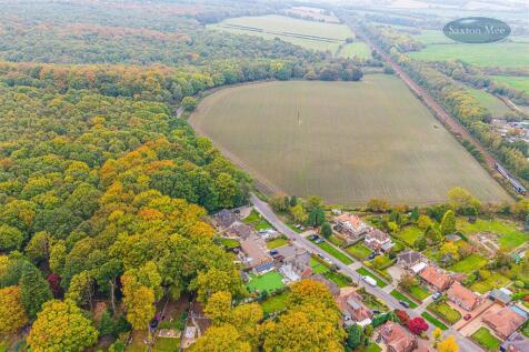 DJI_20251014132923_0311_D copy.jpg