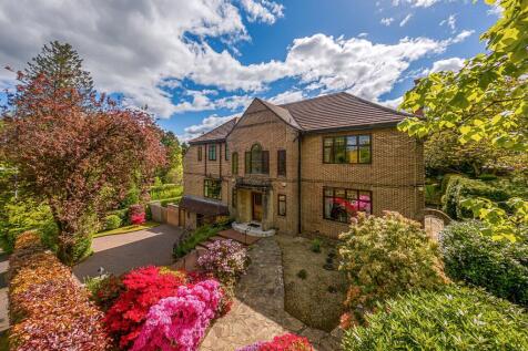 Picture 2