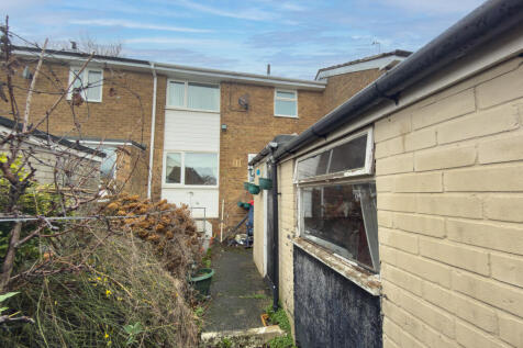 IMG 1595 T202601300820.jpg