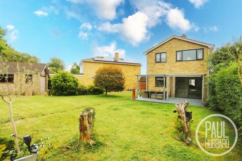 IMG_3517.jpg