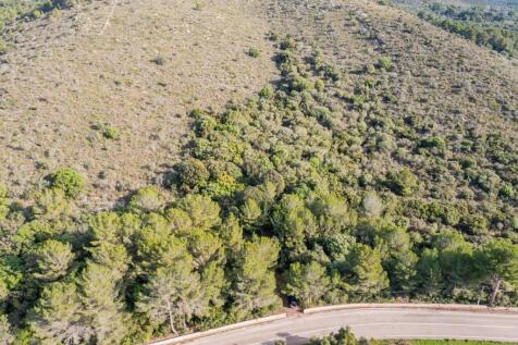 WhatsApp Image 2025-