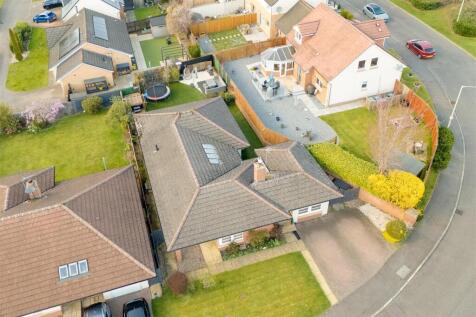 DJI_20260325161205_0445_D-enfuse.jpg