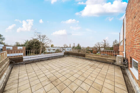 Roof Terrace