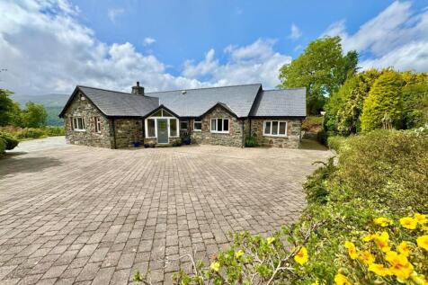 PHOTO-2025-06-05-23-24-41 (35).jpg