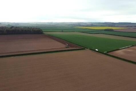 357.03 Acres Arable Land For Sale
