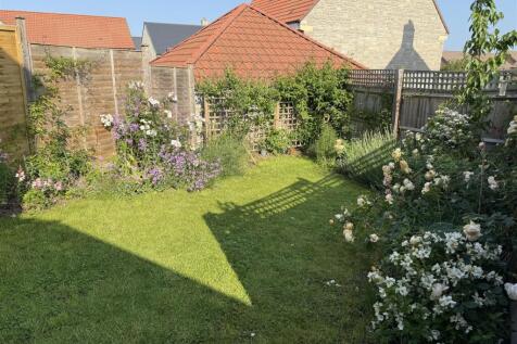 SDR Garden .JPG