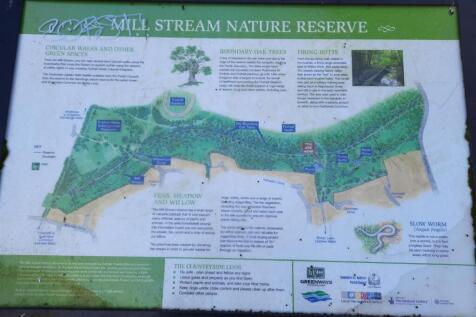 Nature Reserve.jpg