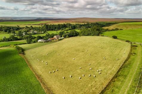 Top Paddock Rear Aerial