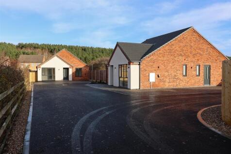 Copper Beech Close-8.jpg