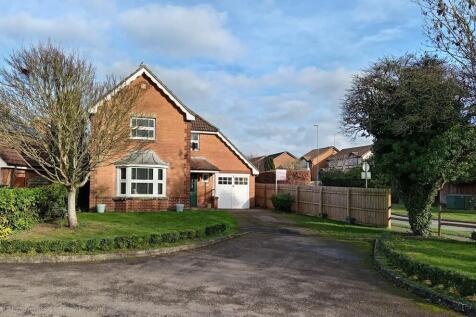 IMG-20260209-WA00...