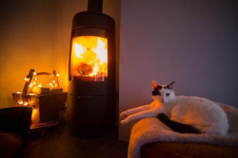 Log Burner