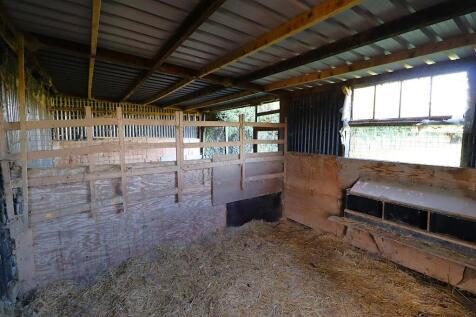 Goat Houe With Access To Field