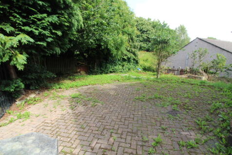 Garden 1 T202507251439.jpg