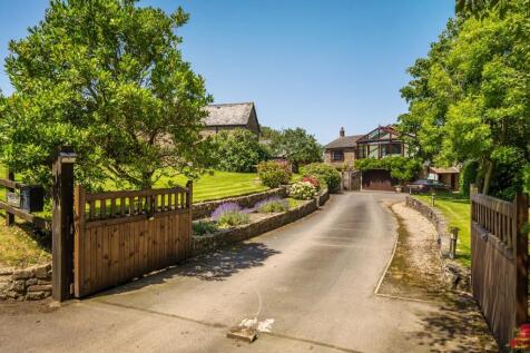 Driveway And Front Elevation