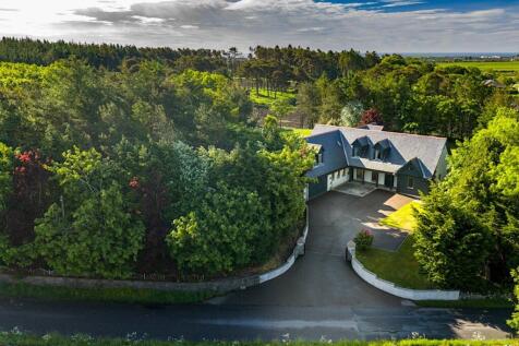 Aerial Elevation