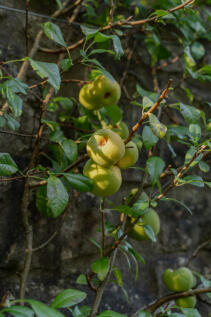 314148 - _A741255.jpg