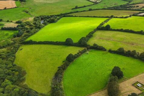 -688cb9a2a19e8-1326931 (1).jpg