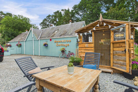 CAM03481G0-PR0115-STILL017