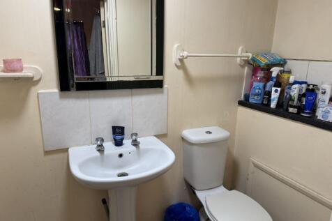 5 Medium T202603101630.jpg
