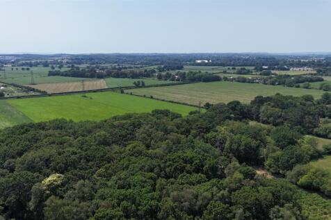 DJI_20260624134212_0462_D.JPG