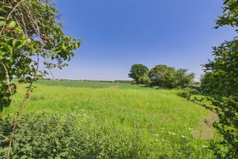Field Views