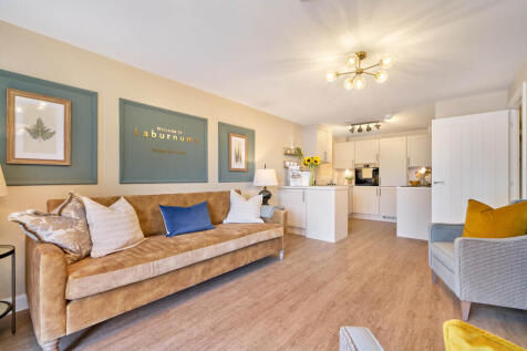 Show home living room