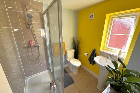 thumbnail_image3 (3).jpg