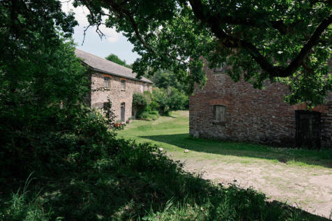 291618 - JAYS 12.6.25-147.jpg