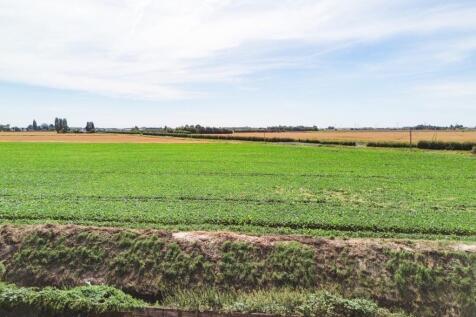 view from rear of property