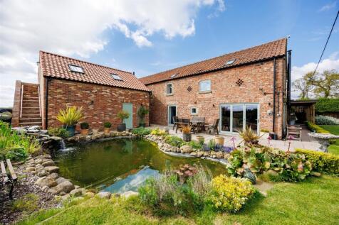 Pond and Patio