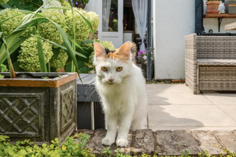 1326949-2-6877c65...